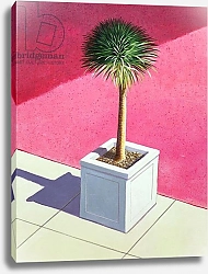 Постер Селигман Линкольн (совр) Small palm, 1995