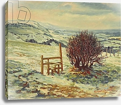 Постер Тиндалл Роберт (совр) Sussex Stile, Winter, 1996