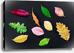 Постер Разноцветные листья 2