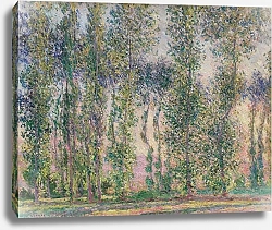 Постер Моне Клод (Claude Monet) Тополя в Гиверни