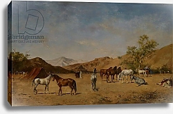 Постер An Arabian Camp, 1873