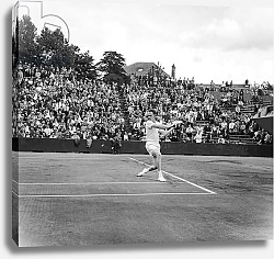 Постер The English tennisman Wilson