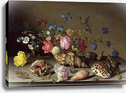 Постер Аст Балтазар Flowers, shells and insects on a stone ledge