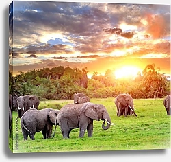 Постер Слоны на закате 2
