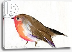 Постер Мониц Коламбус Нэнси (совр) A magical little robin called Wisp, 2011,