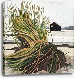 Постер Тиздейл Анна (совр) Marram Grass Rye Harbour