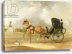 Постер Фернли Джон William Massey-Stanley Driving his Cabriolet in Hyde Park, 1833