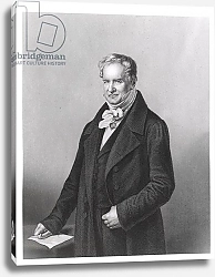 Постер Школа: Немецкая школа (19 в.) Portrait of Baron Alexander von Humboldt