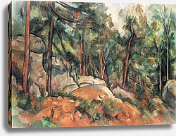 Постер Сезанн Поль (Paul Cezanne) В лесу 4
