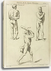 Постер Рубенс Петер (Pieter Paul Rubens) Three studies of male figures 2