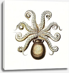Постер Vintage octopus marine life 2