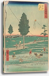 Постер Утагава Хирошиге (яп) Fukuroi