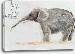Постер Нам Джанг Сук (совр) Elephant
