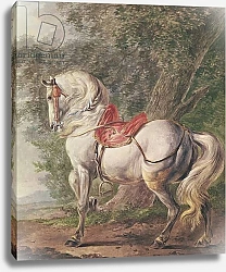 Постер Вауверман Филипс A White Horse