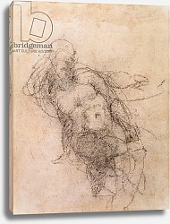 Постер Микеланджело (Michelangelo Buonarroti) Study for Noah in 'The Drunkenness of Noah', 1508-12