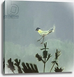 Постер Миши Давид (совр) Strange Bird Alighting, 1982