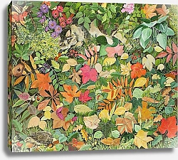 Постер Джонс Хилари (совр) Autumnal Cat