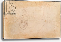 Постер Микеланджело (Michelangelo Buonarroti) Study of a male head