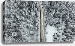 Постер Snowy Road with a Car in the Forest