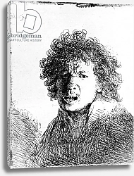 Постер Рембрандт (Rembrandt) Self Portrait, 1630