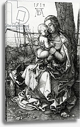 Постер Дюрер Альбрехт The Virgin and Child seated under a tree, 1513
