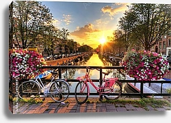 Постер Голландия, Амстердам. Розовый велосипед