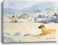 Постер Виллис Люси (совр) Dog on the Beach, Woolacombe, 1987