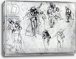 Постер Леонардо да Винчи (Leonardo da Vinci) Study of nude men