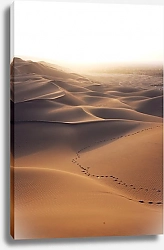 Постер Путь через пустыню