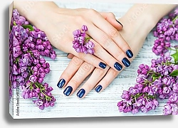 Постер Руки с синим маникюром и красивыми свежими сиреневыми цветами