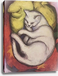 Постер Марк Франц (Marc Franz) Кот на желтой подушке