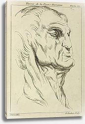 Постер Рубенс Петер (Pieter Paul Rubens) Head of a man