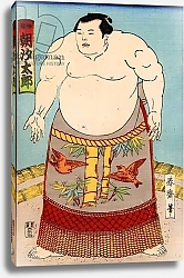 Постер Школа: Японская 19в. Asashio Toro, a Japanese Sumo Wrestler, c.1890