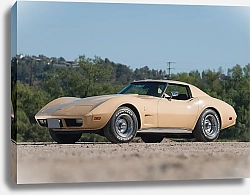 Постер Corvette (C3) '1977