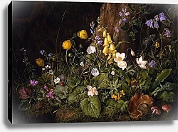 Постер Петтер Франс Дикие цветы и грибы