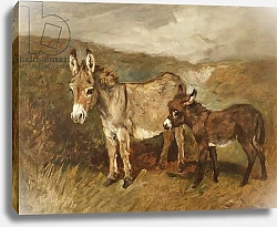 Постер Эммс Джон Donkeys out on the Moor, c.1890