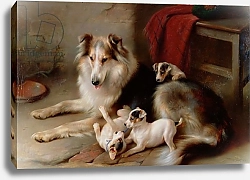 Постер Хант Уолтер A Collie with Fox Terrier Puppies, 1913