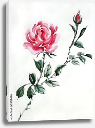Постер Красная китайская роза 2