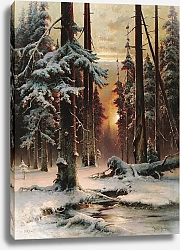 Постер Клевер Юлий Зимний закат в еловом лесу. 1889