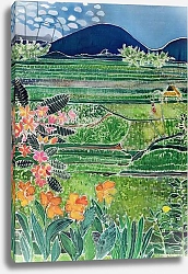 Постер Саймон Хилари (совр) Lovina Ricefields with Lilies and Frangipani, Bali, 1996