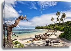 Постер Прекрасный песчаный пляж на острове Пинос, Новая Каледония