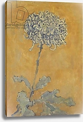 Постер Мондриан Пит Chrysanthemum,