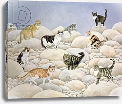 Постер Дитц (совр) Lynn Valley Cats