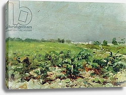 Постер Тулуз-Лотрек Анри (Henri Toulouse-Lautrec) Celeyran, View of the Vineyard, 1880