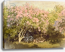 Постер Моне Клод (Claude Monet) Lilac in the Sun, 1873
