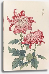 Постер Хасегава Кейка Keika hyakugiku, Pl.23