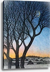 Постер Брэйн Энн (совр) Trees and Moon, 2015