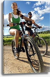 Постер Счастливые велосипедисты