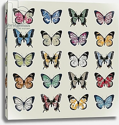 Постер Хью Сара (совр) Papillon, 2008