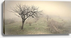 Постер Туман в поле